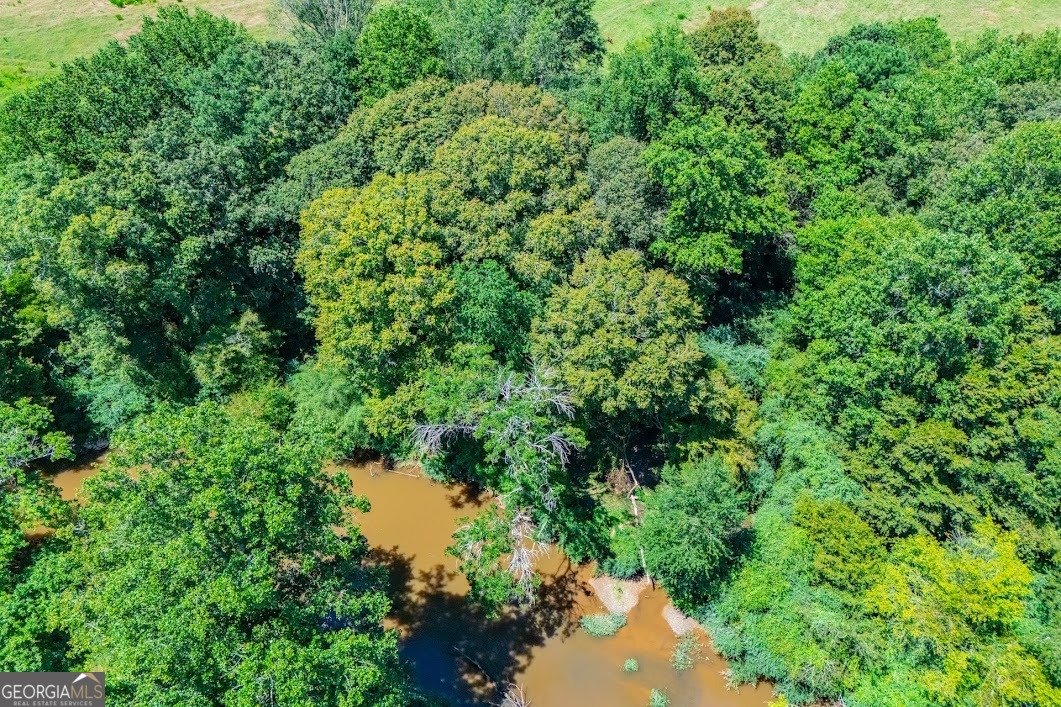 746 Dot Road Bowdon - Photo 88