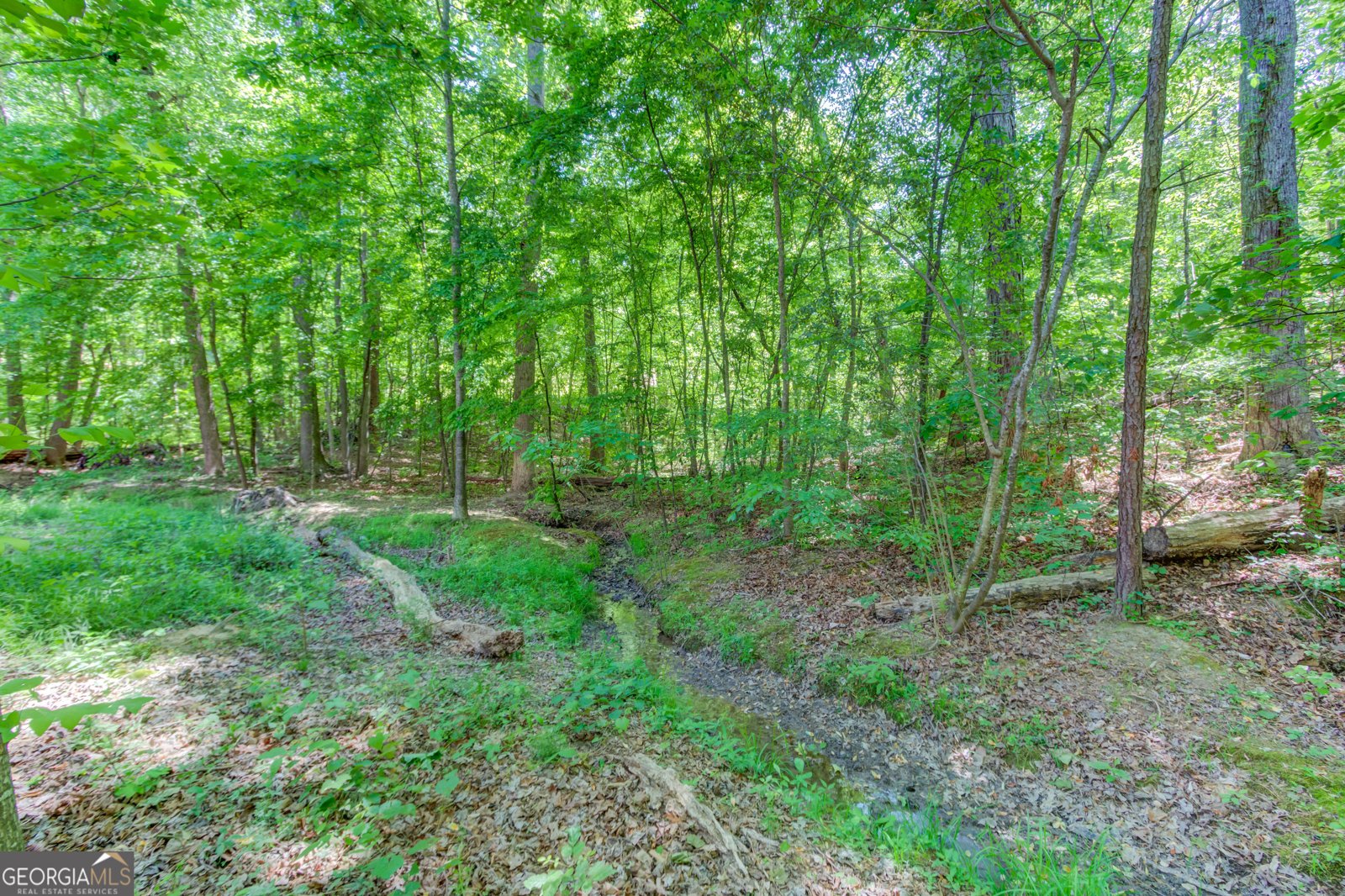 7035 W Mountain Crossing Cumming - Photo 52