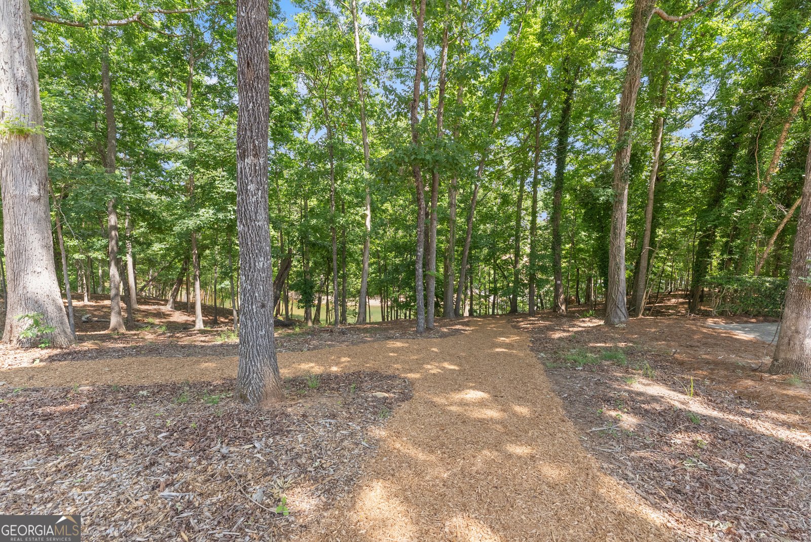 5611 Lanyard Court Gainesville - Photo 59