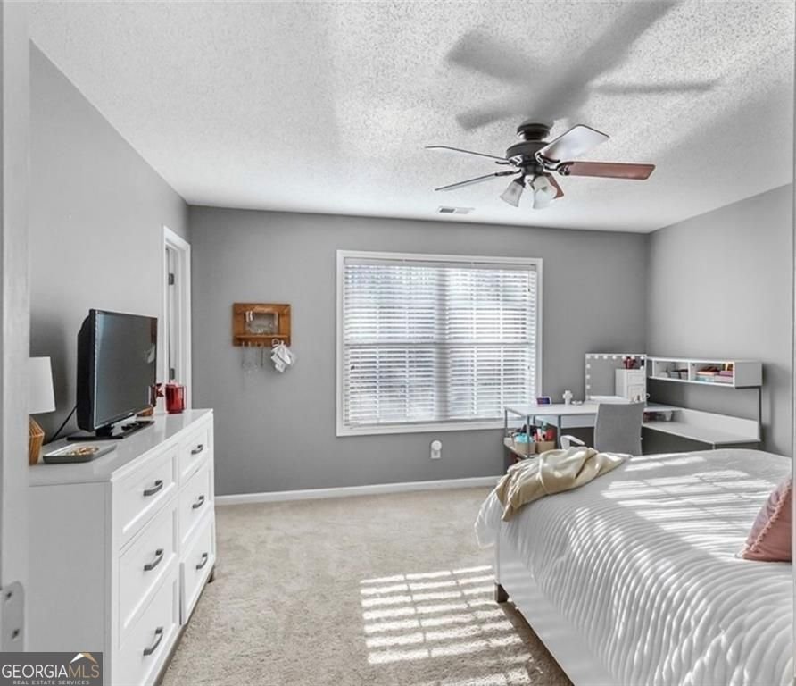 310 Persimmon Drive Sharpsburg - Photo 30