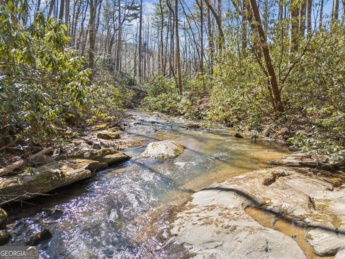 101 Evening Shade Clayton - Photo 30