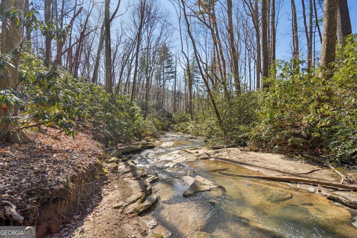 101 Evening Shade Clayton - Photo 32