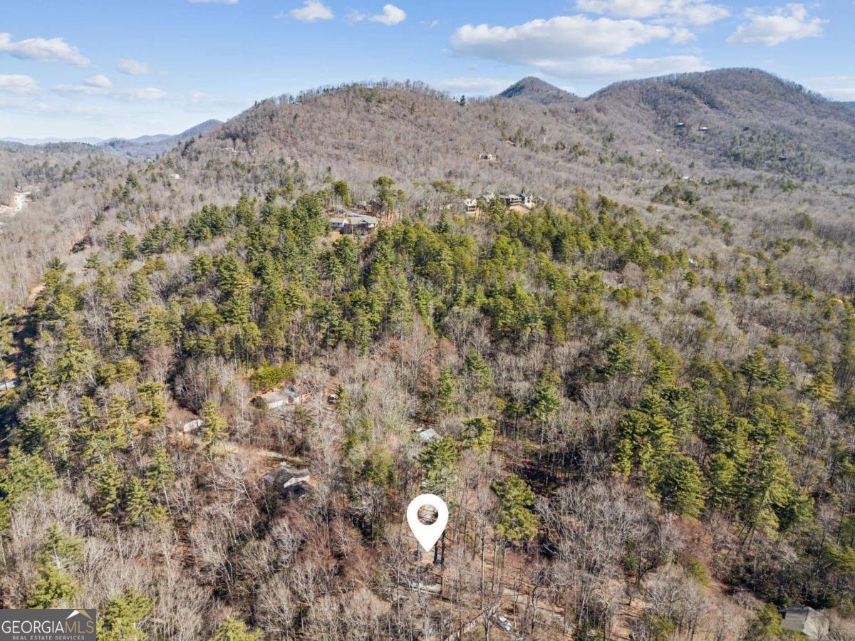 101 Evening Shade Clayton - Photo 34