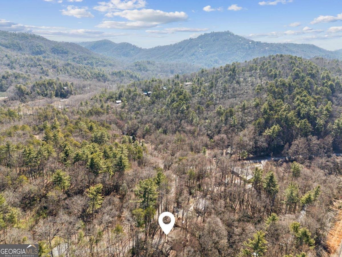 101 Evening Shade Clayton - Photo 36