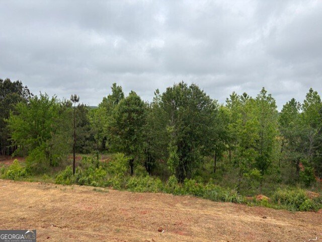 1020 Reagan Drive Madison - Photo 31