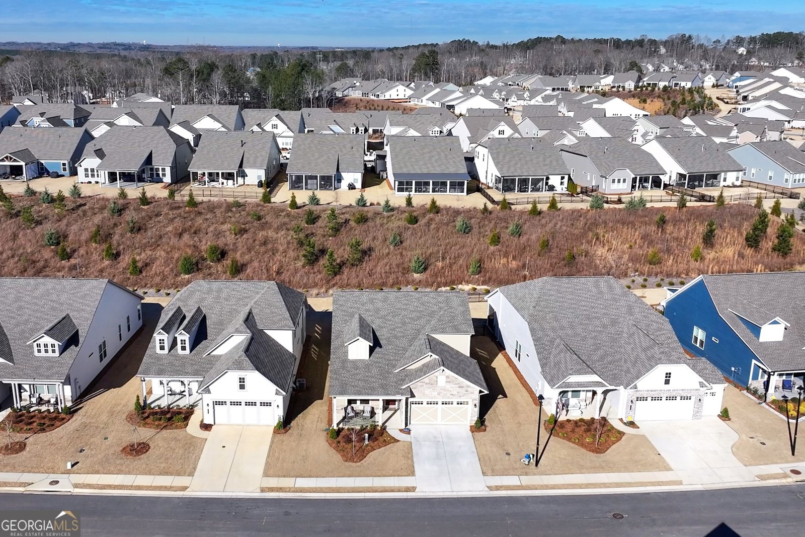 146 Bear Way Hoschton - Photo 43