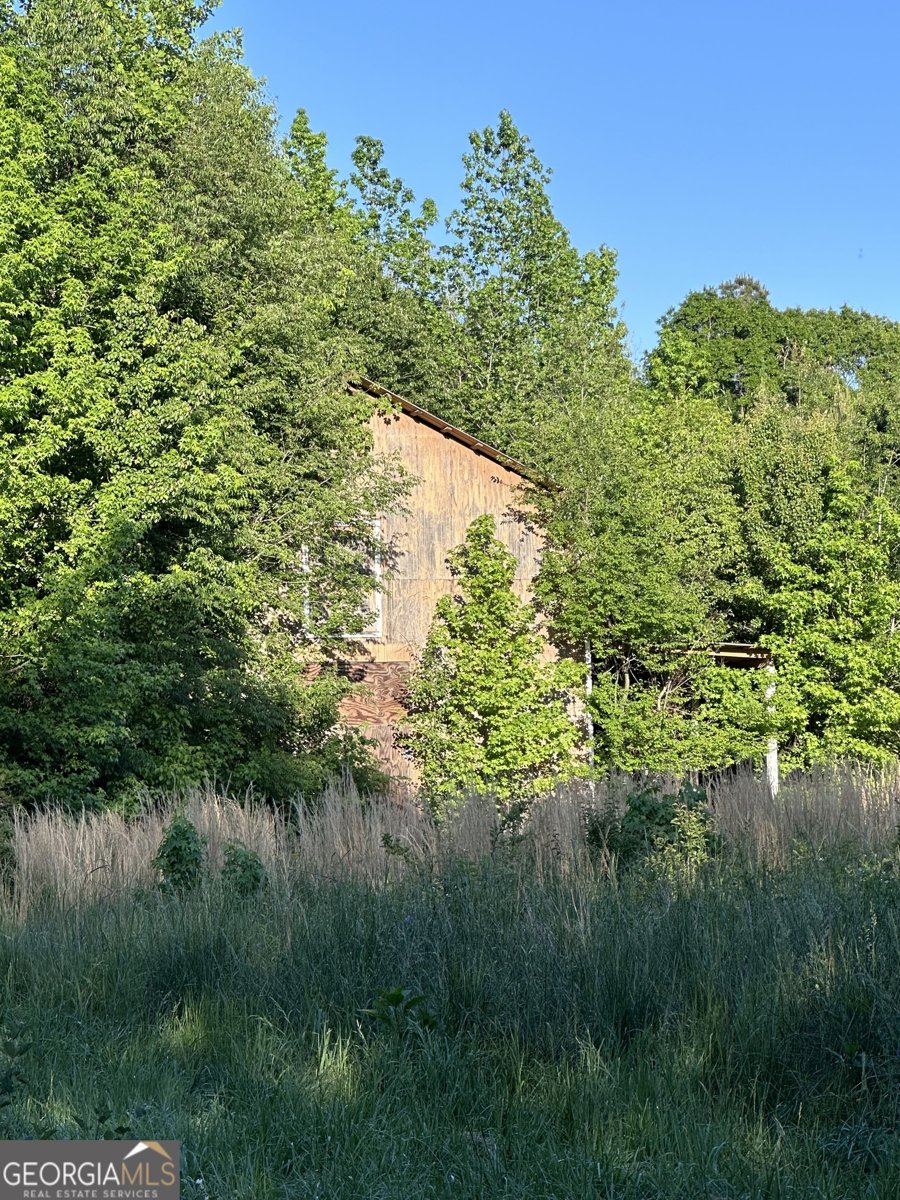 1520 Old Monroe Madison Highway Monroe - Photo 48