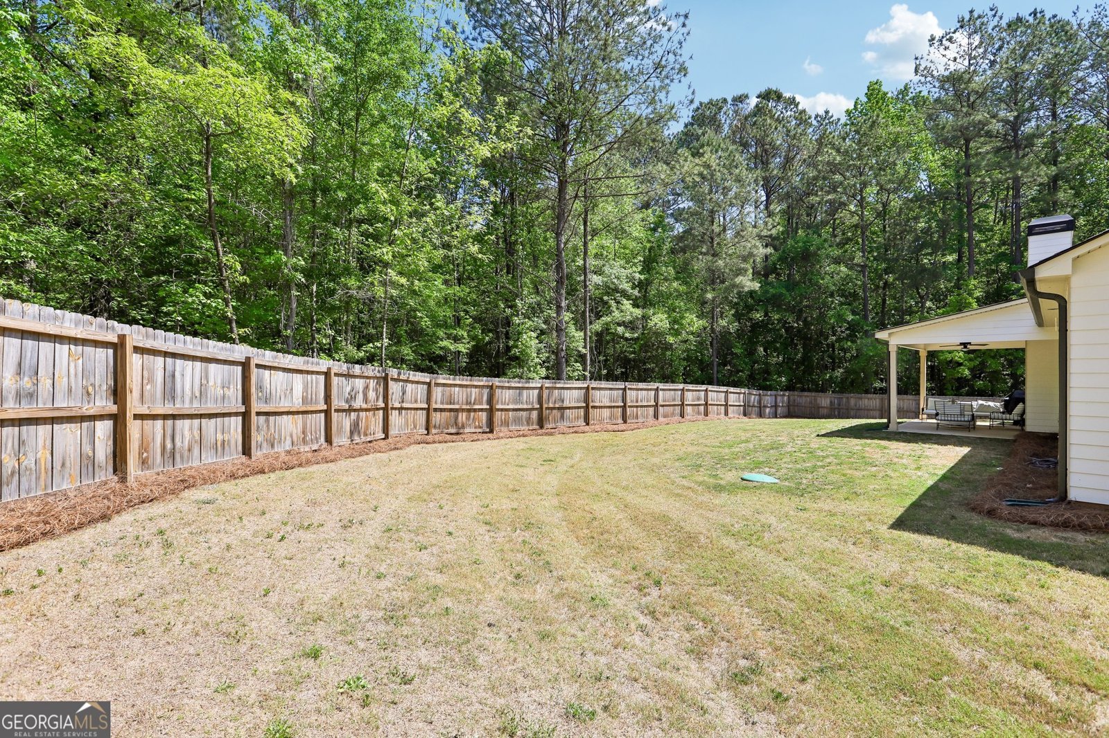 807 Rowe Road Senoia - Photo 34