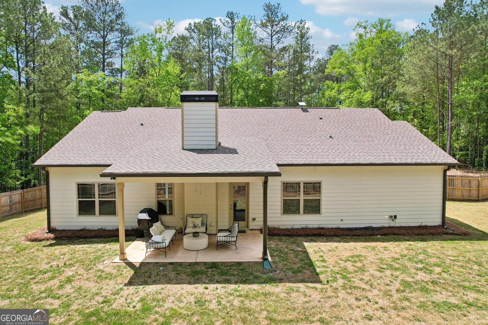 807 Rowe Road Senoia - Photo 6