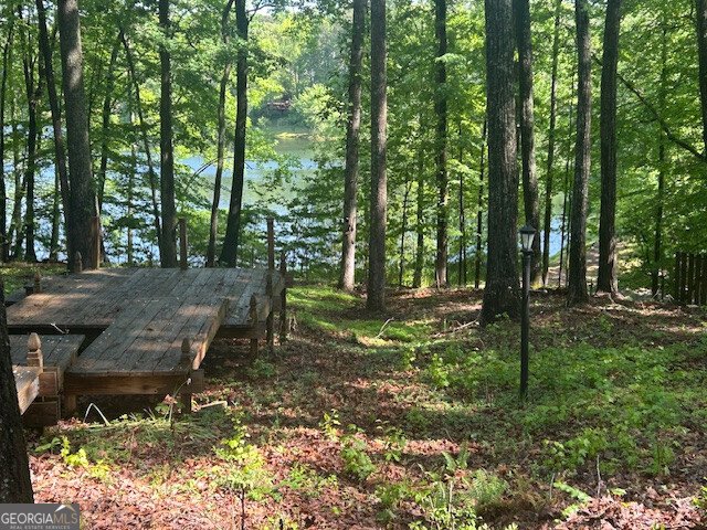 3108 Chapel Hill Road Douglasville - Photo 38