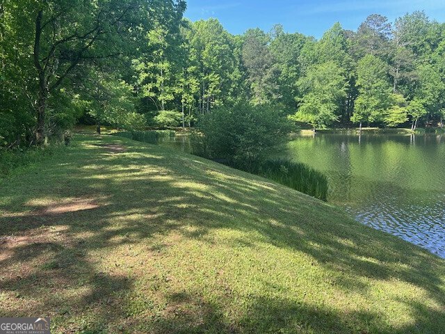 3108 Chapel Hill Road Douglasville - Photo 41