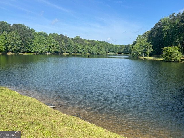 3108 Chapel Hill Road Douglasville - Photo 43