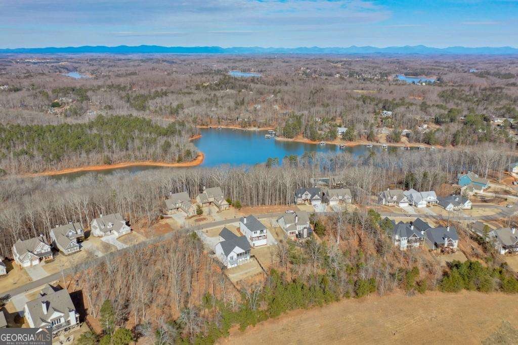 7410 Crestline Drive Dawsonville - Photo 66