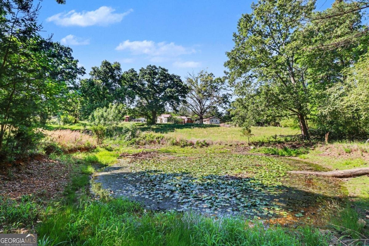 1763 Burnett Ferry Road Rome - Photo 28