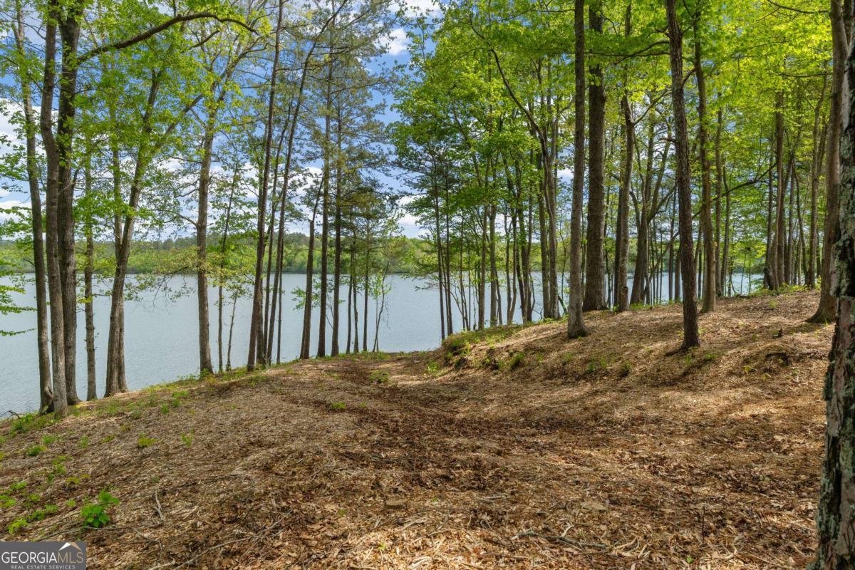 840 Old Driver Road Whitesburg - Photo 29