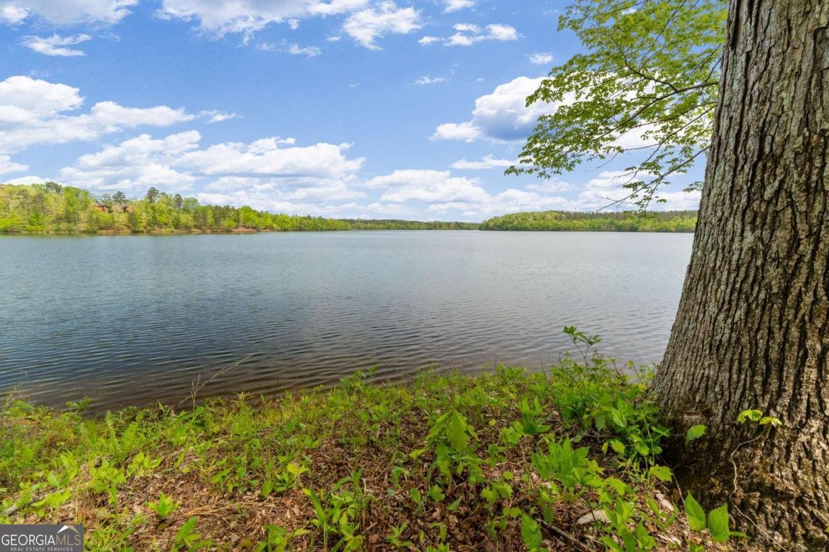 840 Old Driver Road Whitesburg - Photo 30