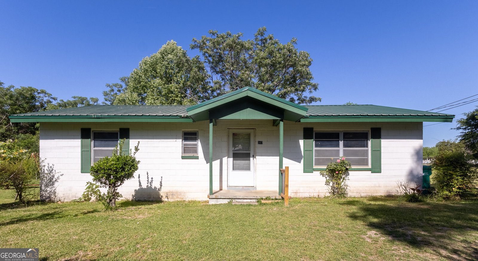 347 Peavy Street Unadilla - main photo