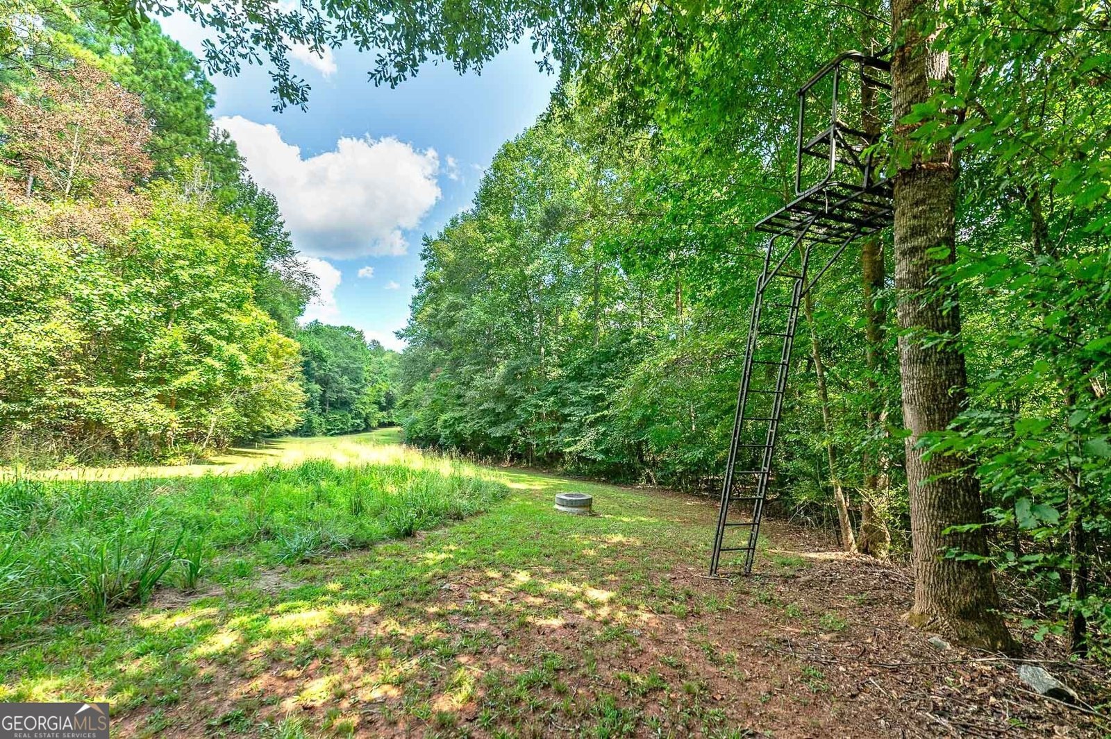 3112 Highway 155 McDonough - Photo 22