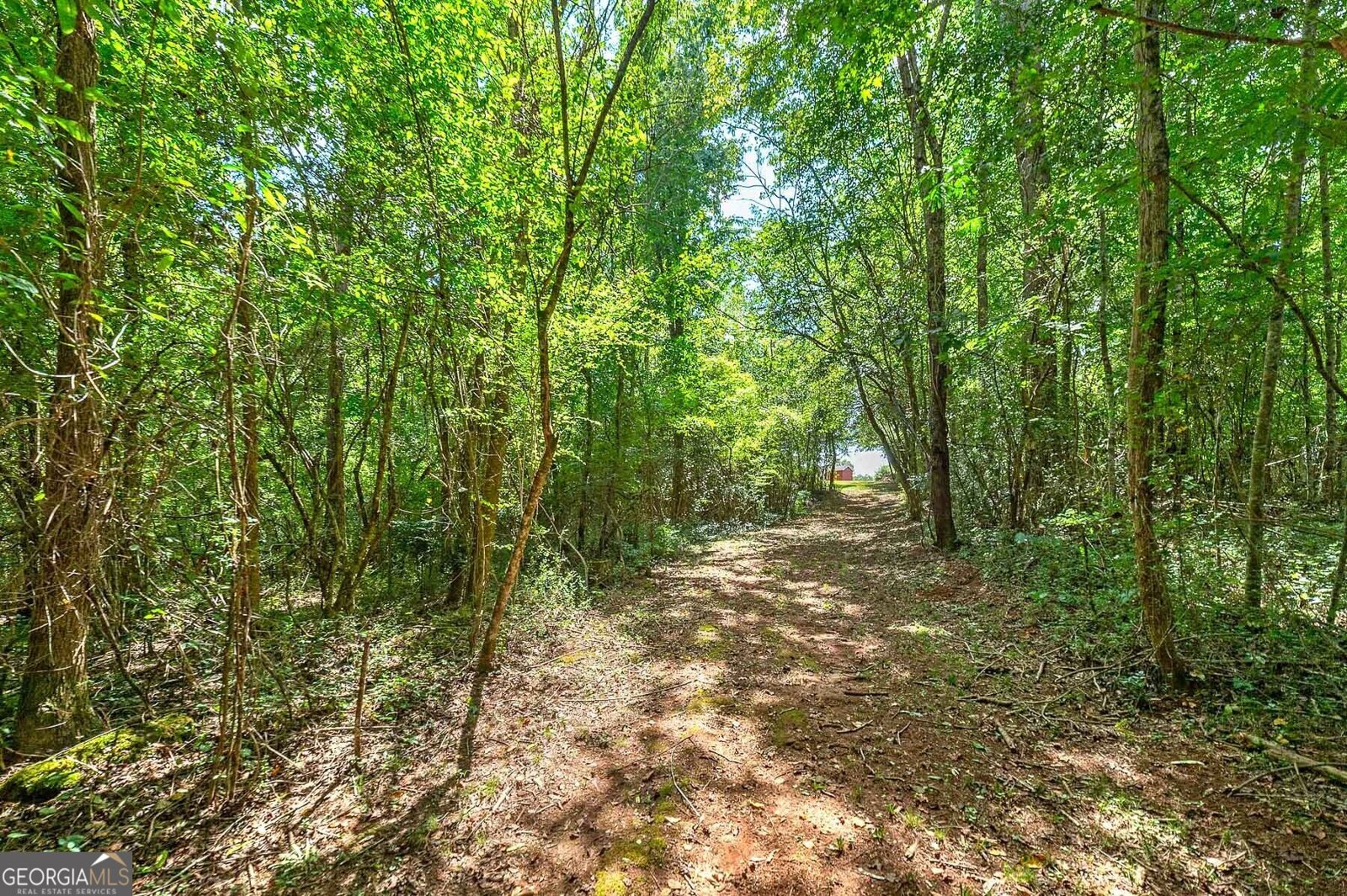 3112 Highway 155 McDonough - Photo 23