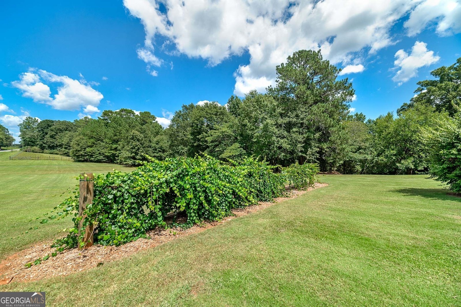 3112 Highway 155 McDonough - Photo 51