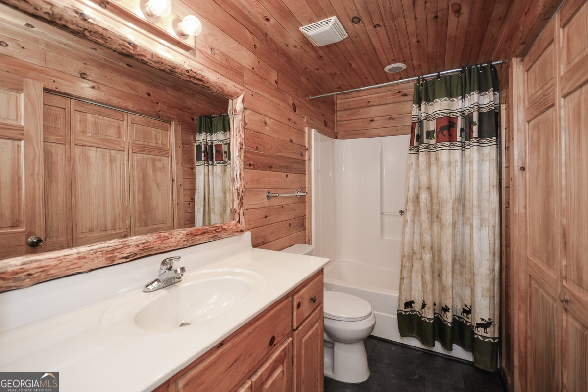 303 Pine Lane Mineral Bluff - Photo 34