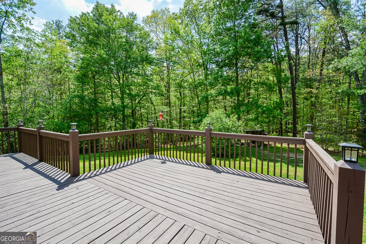 303 Pine Lane Mineral Bluff - Photo 41