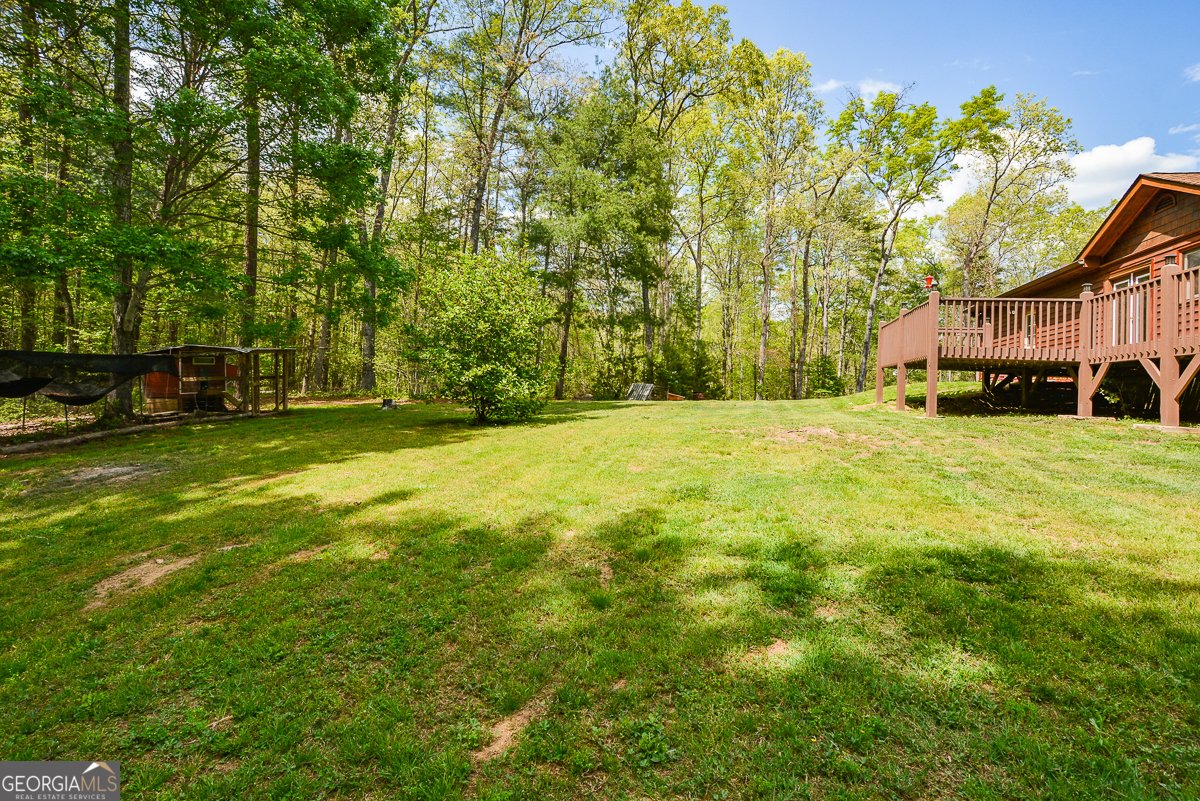 303 Pine Lane Mineral Bluff - Photo 44