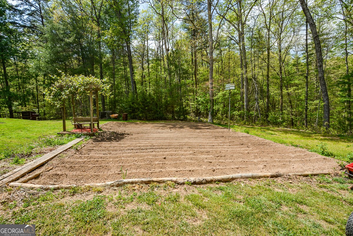 303 Pine Lane Mineral Bluff - Photo 46