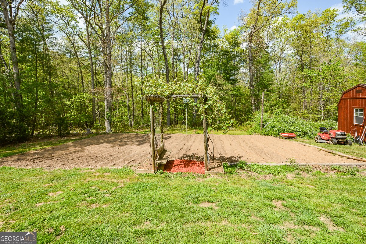 303 Pine Lane Mineral Bluff - Photo 47