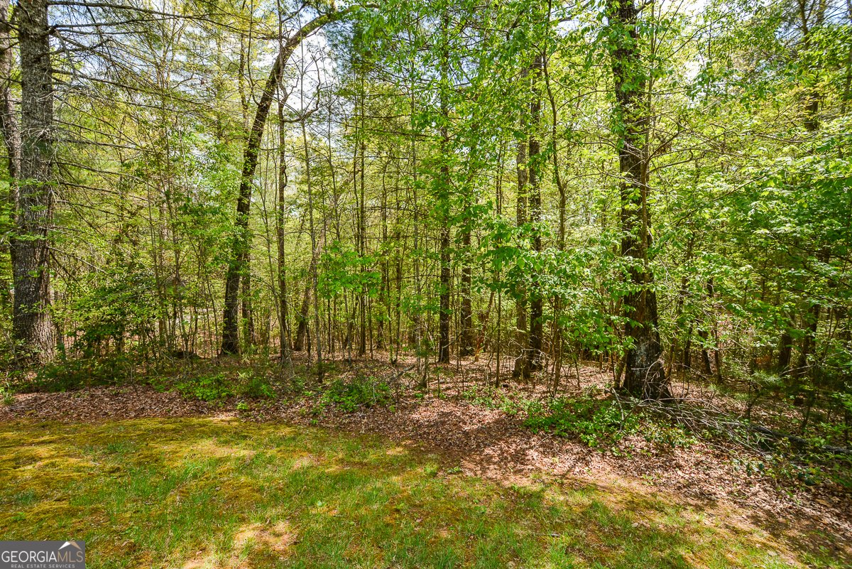 303 Pine Lane Mineral Bluff - Photo 61