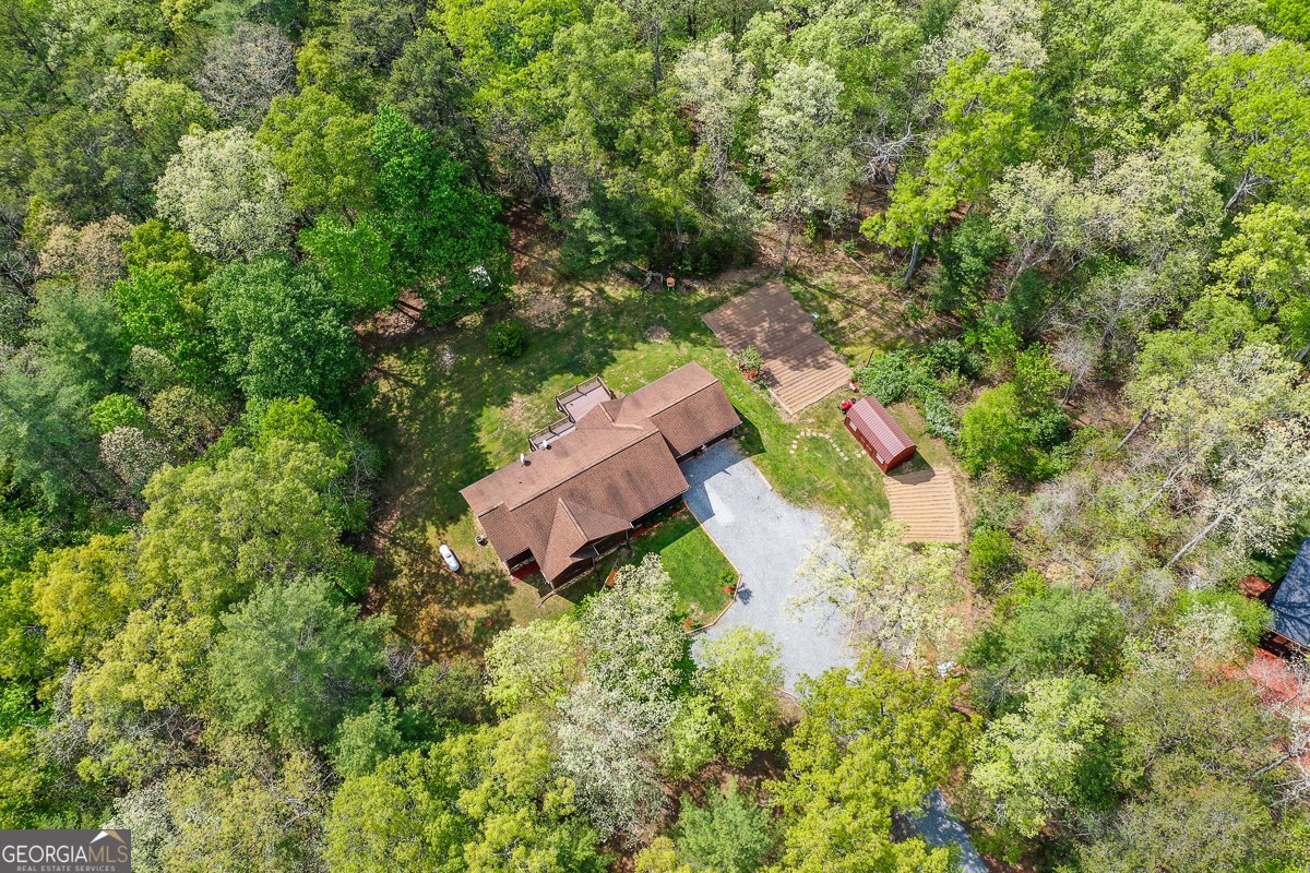 303 Pine Lane Mineral Bluff - Photo 64