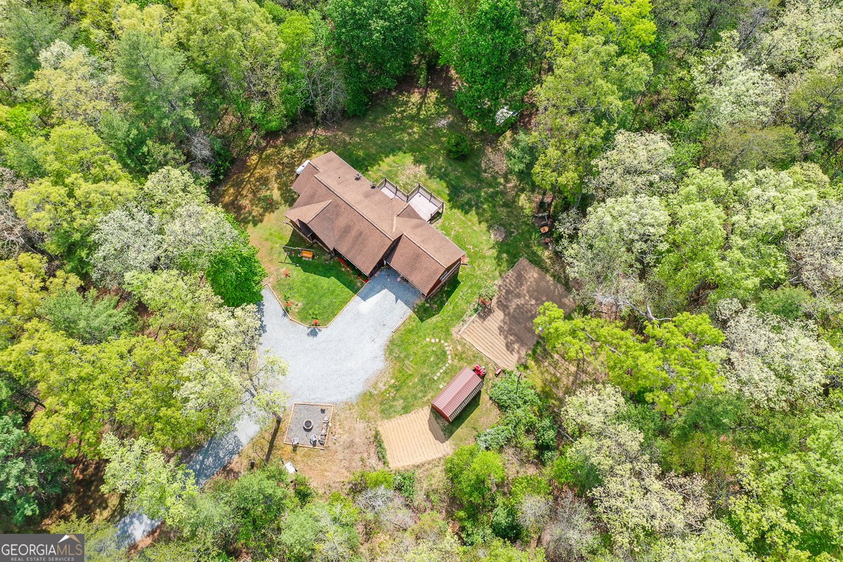 303 Pine Lane Mineral Bluff - Photo 65