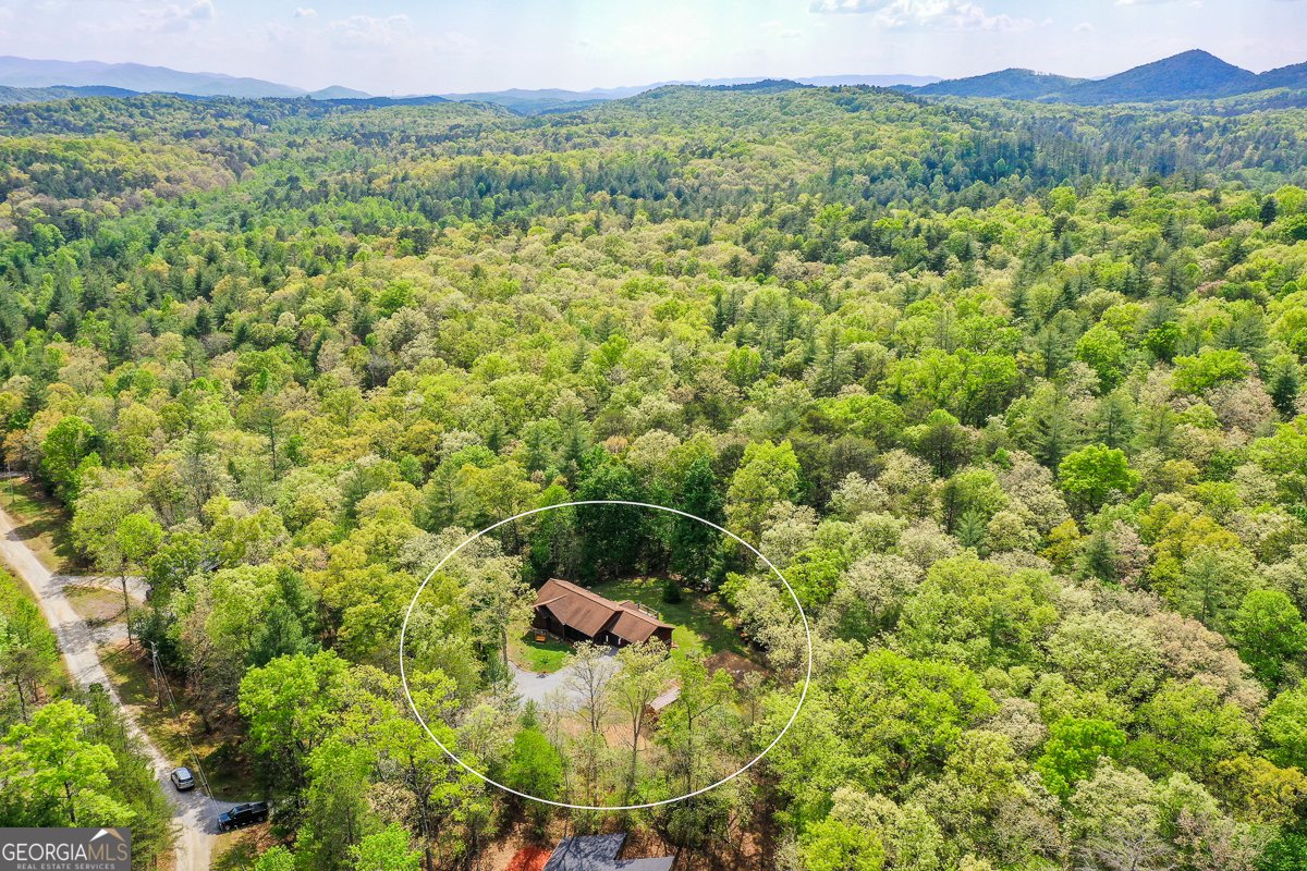 303 Pine Lane Mineral Bluff - Photo 66