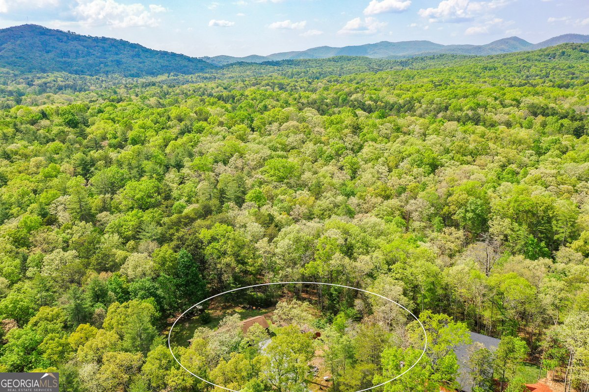 303 Pine Lane Mineral Bluff - Photo 67