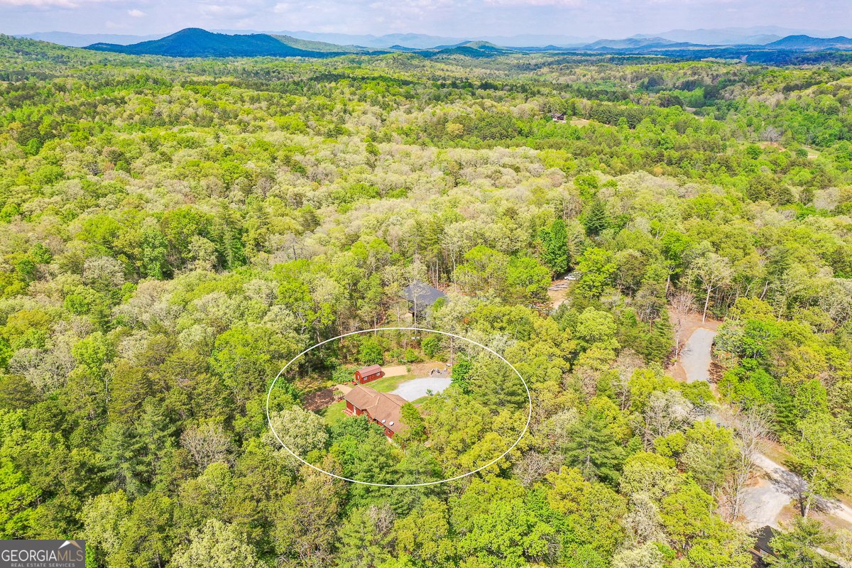 303 Pine Lane Mineral Bluff - Photo 68