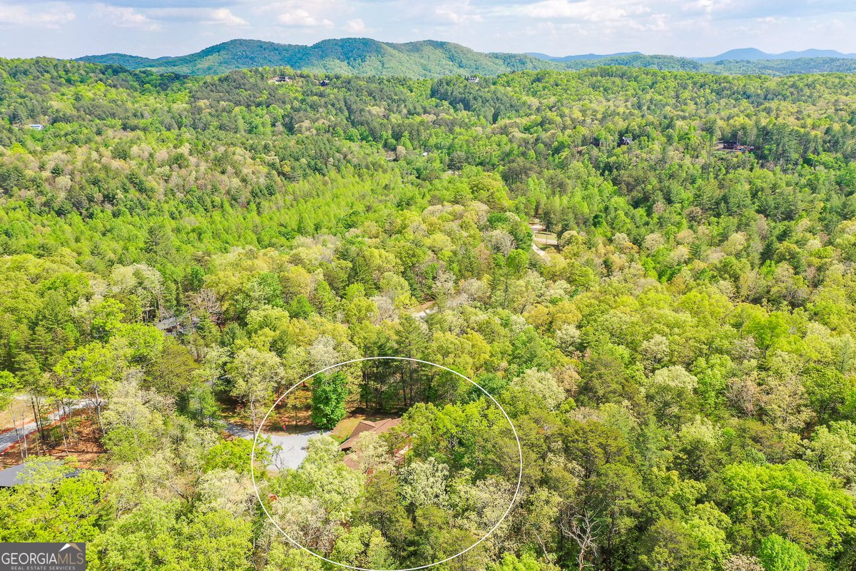 303 Pine Lane Mineral Bluff - Photo 69
