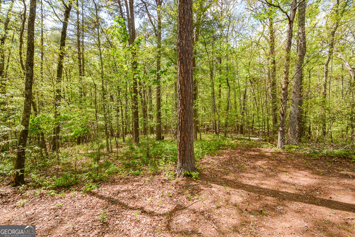 303 Pine Lane Mineral Bluff - Photo 70