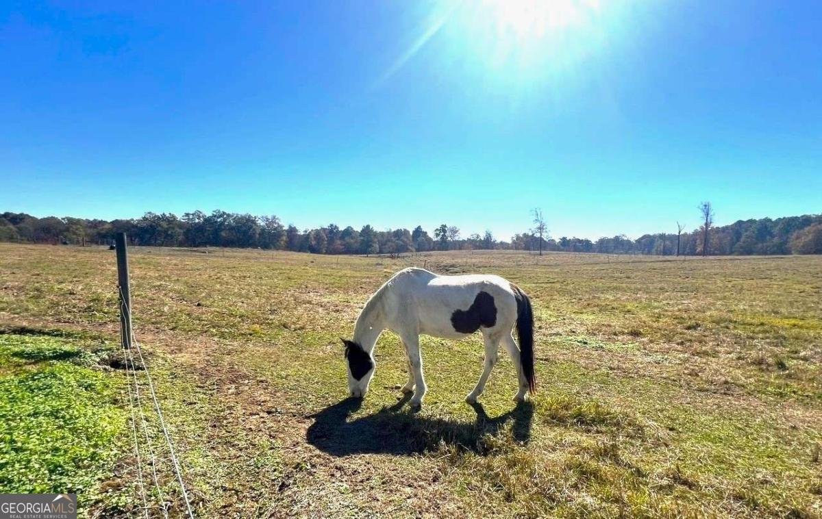 486 County Line Road Resaca - Photo 18