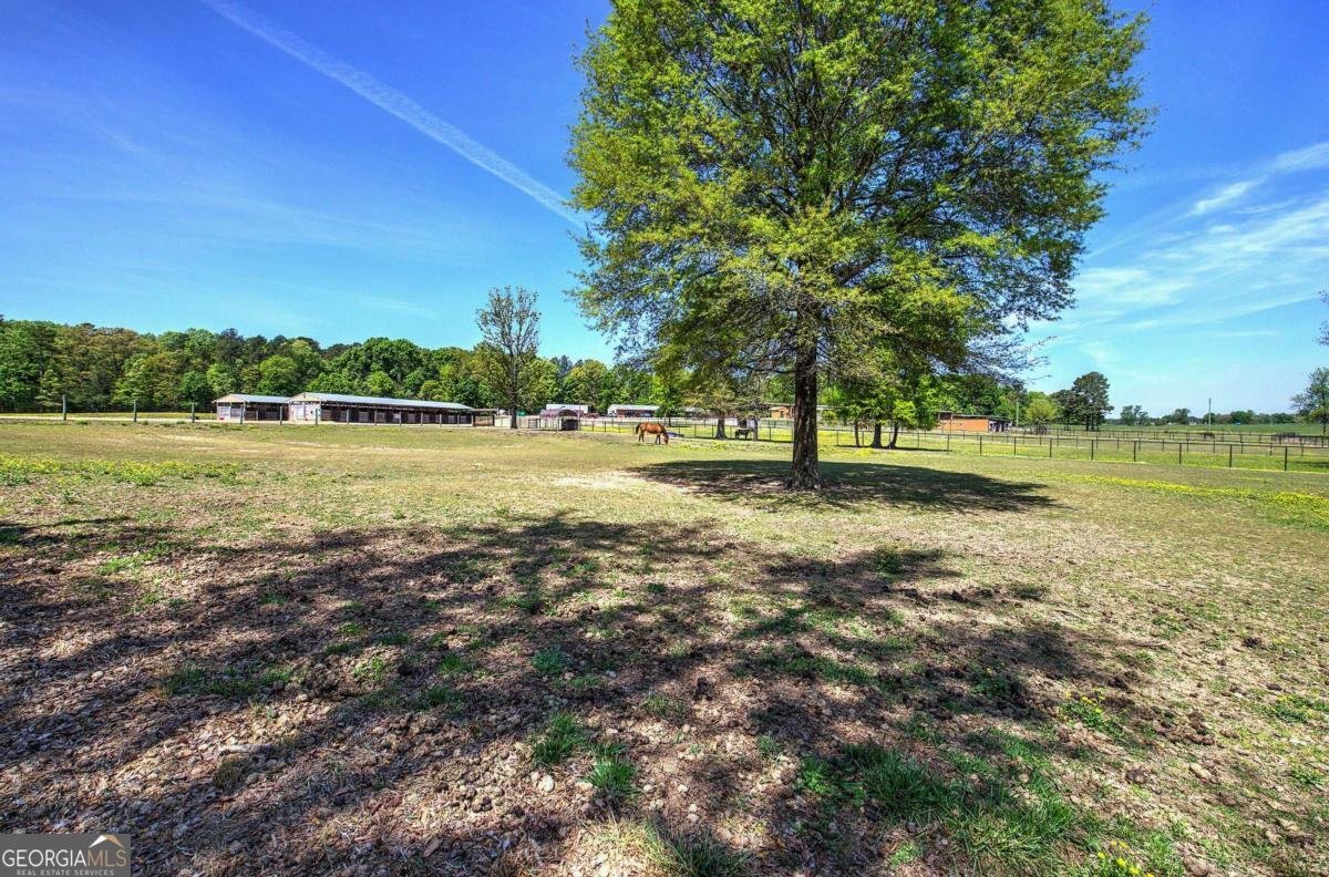 486 County Line Road Resaca - Photo 19