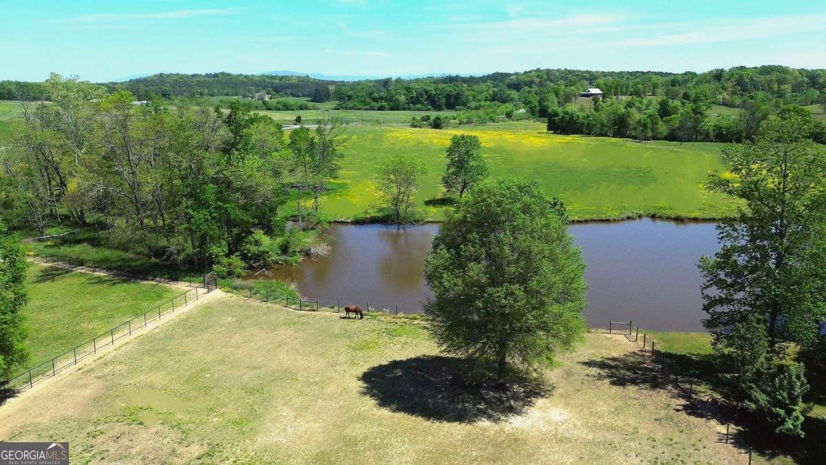 486 County Line Road Resaca - Photo 31