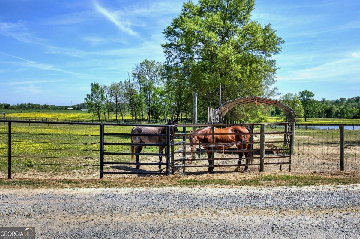 486 County Line Road Resaca - Photo 32