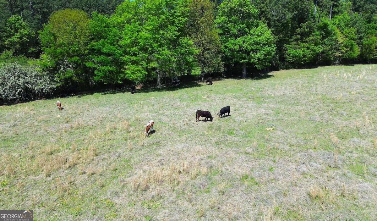 486 County Line Road Resaca - Photo 33