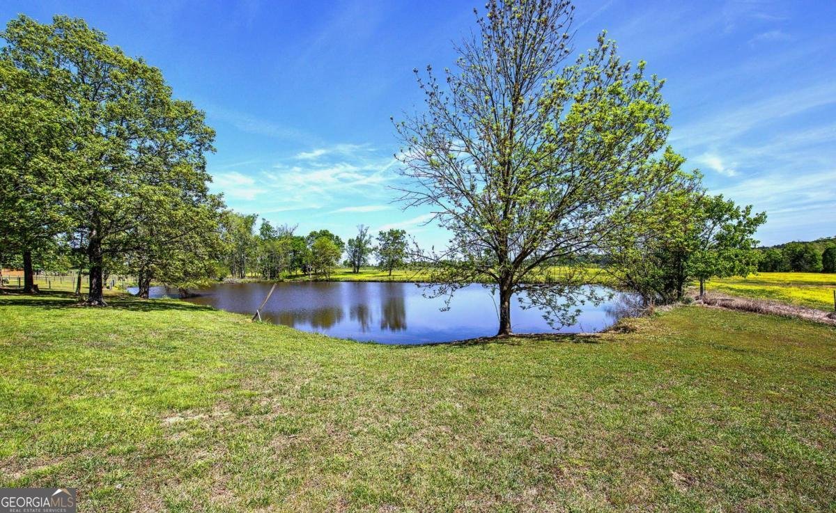 486 County Line Road Resaca - Photo 8