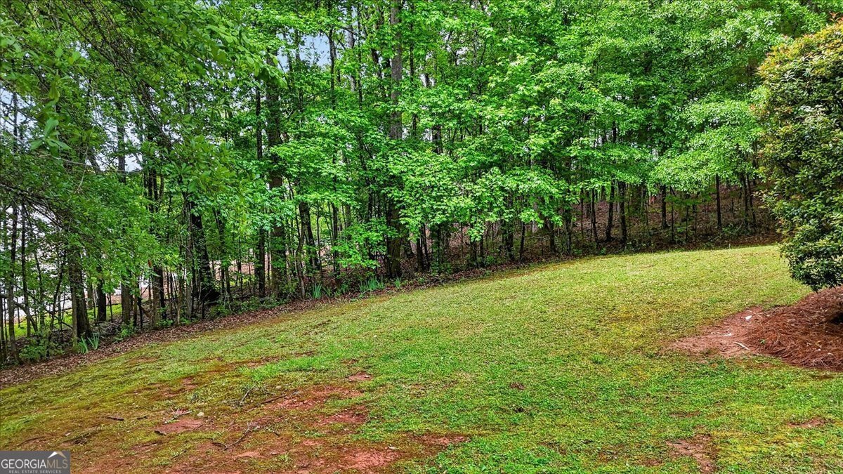 403 Sycamore Drive Canton - Photo 33