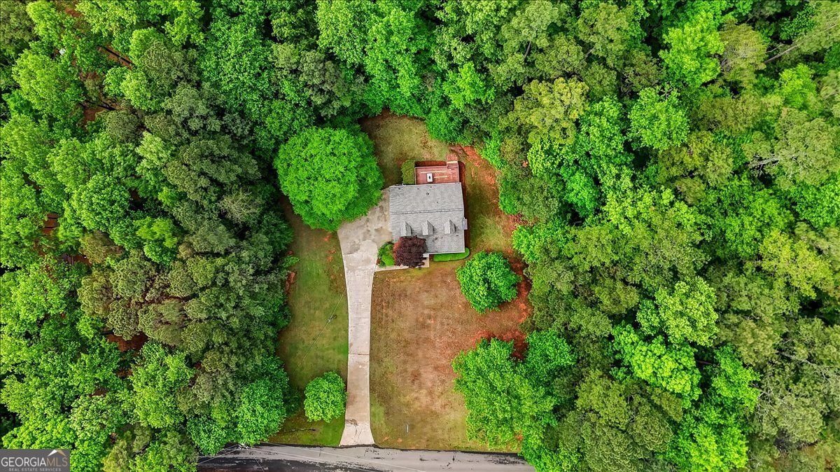 403 Sycamore Drive Canton - Photo 34