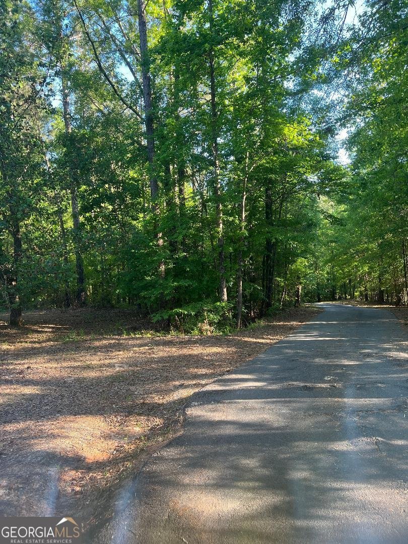 175 Hidden Hills Drive Milledgeville - Photo 12