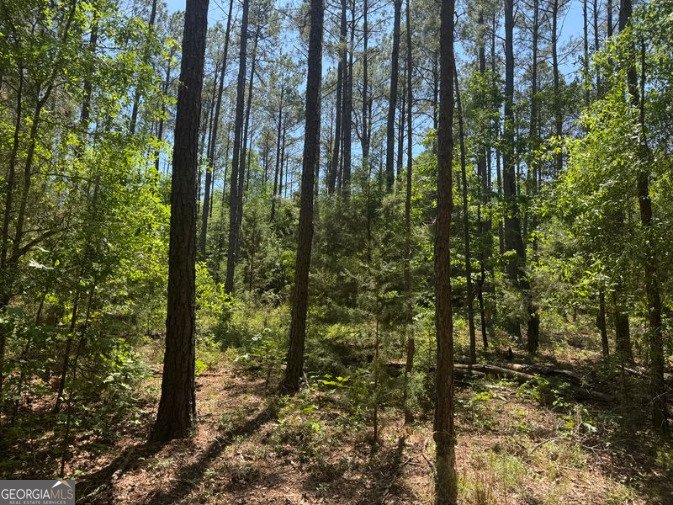 4008 Horseshoe Road Dawson - Photo 13