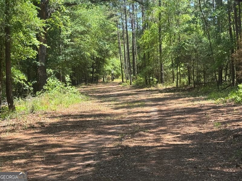 4008 Horseshoe Road Dawson - Photo 14