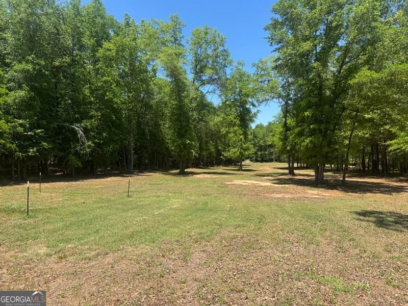 4008 Horseshoe Road Dawson - Photo 15