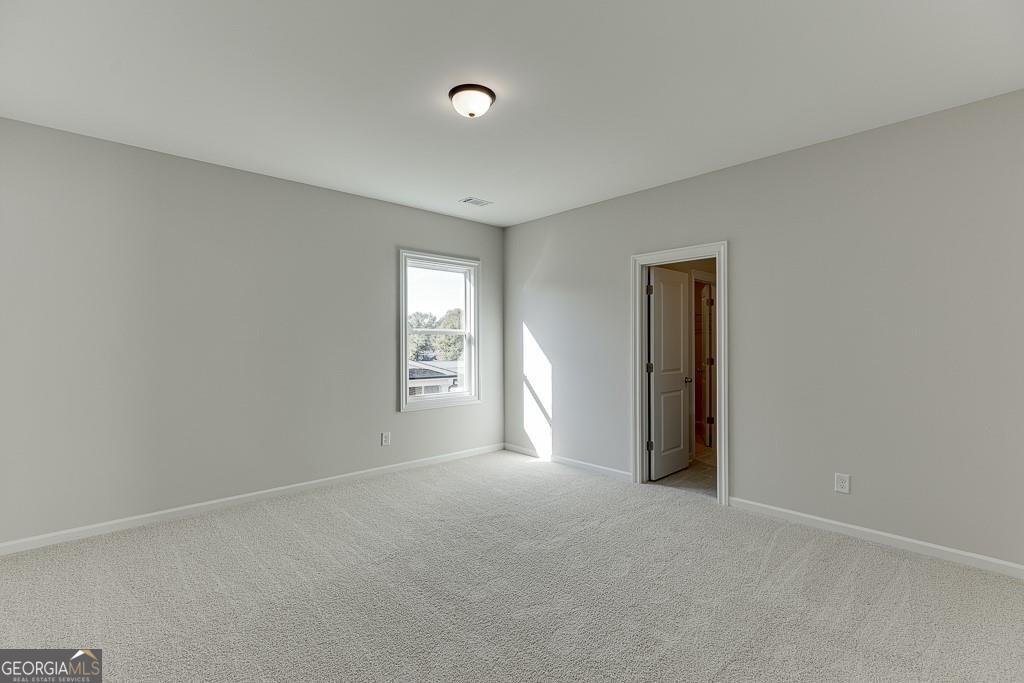 452 Thunder Road Buford - Photo 34